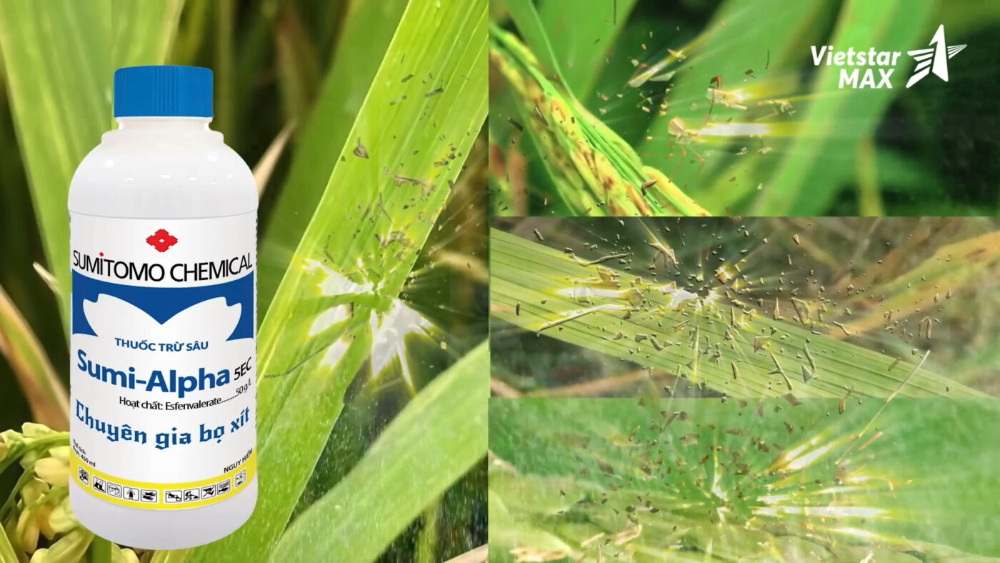 TVC quảng cáo – Thuốc trừ sâu Sumi Alpha 5EC 